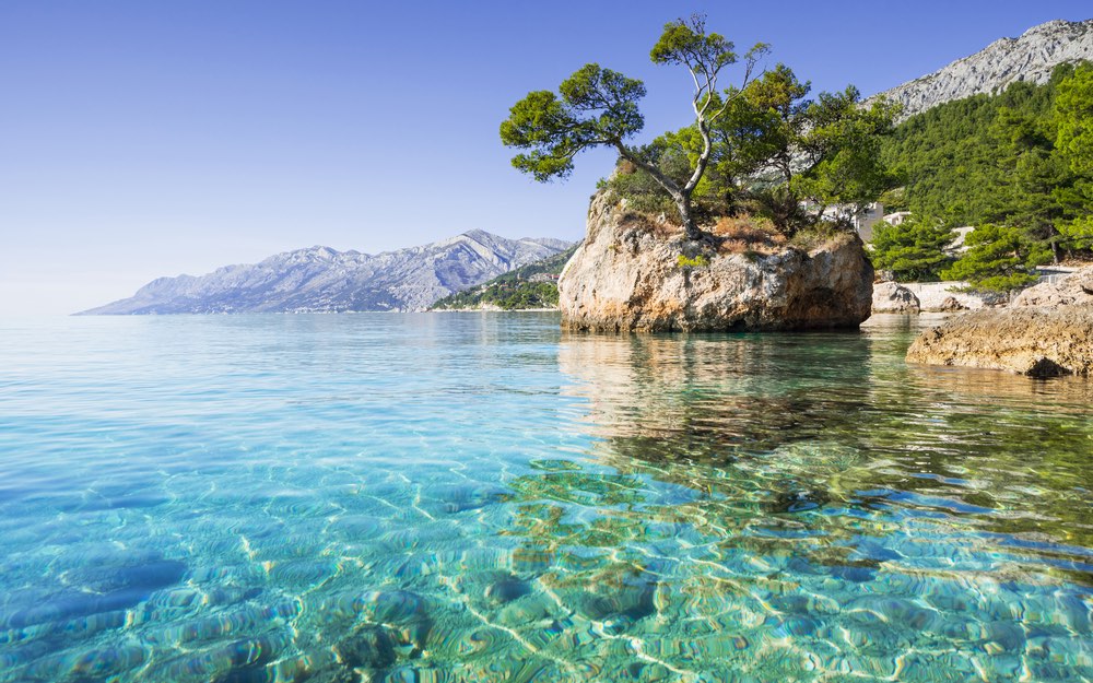 Fotografia di una cala dell'Adriatico: uno scoglio con un pino isolato davanti a un'acqua bassa e trasparente, e la costa montuosa che si allontana all'orizzonte.